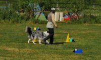 IMG_Ro_tunier_17-06-2017-071