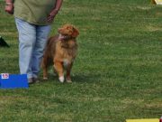 IMG_Ro_tunier_17-06-2017-076