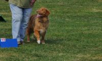 IMG_Ro_tunier_17-06-2017-076
