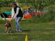 IMG_Ro_tunier_17-06-2017-077