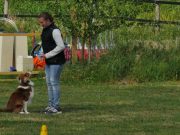 IMG_Ro_tunier_17-06-2017-078
