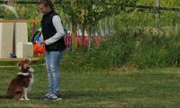 IMG_Ro_tunier_17-06-2017-078