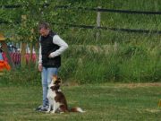 IMG_Ro_tunier_17-06-2017-079
