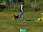 IMG_Ro_tunier_17-06-2017-080