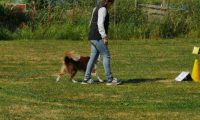 IMG_Ro_tunier_17-06-2017-080