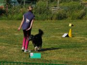 IMG_Ro_tunier_17-06-2017-081