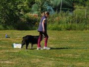 IMG_Ro_tunier_17-06-2017-082
