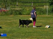 IMG_Ro_tunier_17-06-2017-083