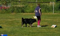 IMG_Ro_tunier_17-06-2017-083