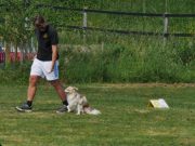 IMG_Ro_tunier_17-06-2017-085
