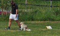 IMG_Ro_tunier_17-06-2017-085