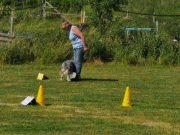 IMG_Ro_tunier_17-06-2017-091