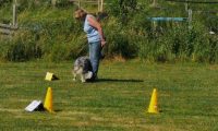 IMG_Ro_tunier_17-06-2017-091