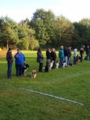 RO Turnier Nürnberg Schwaig