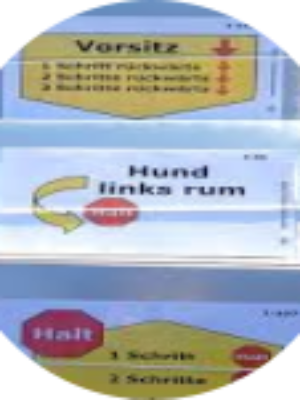Ausschreibung zur BM/BJM RO 2019