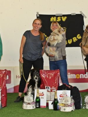 Dogdance Turnier 2018